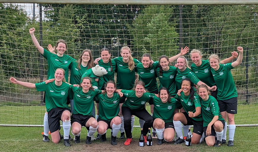 V.V. Drienerlo ladies team
