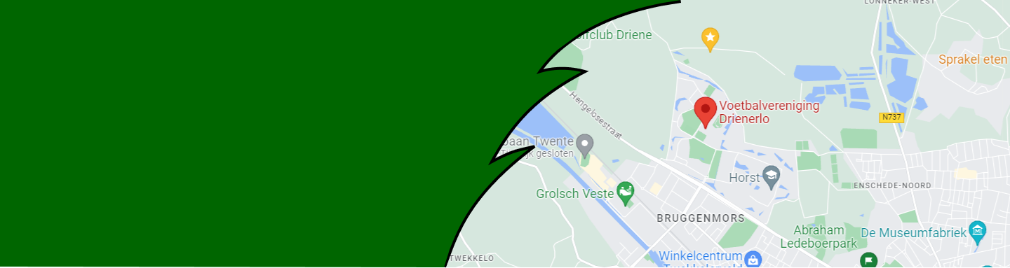 Map preview of the Drienerlo location